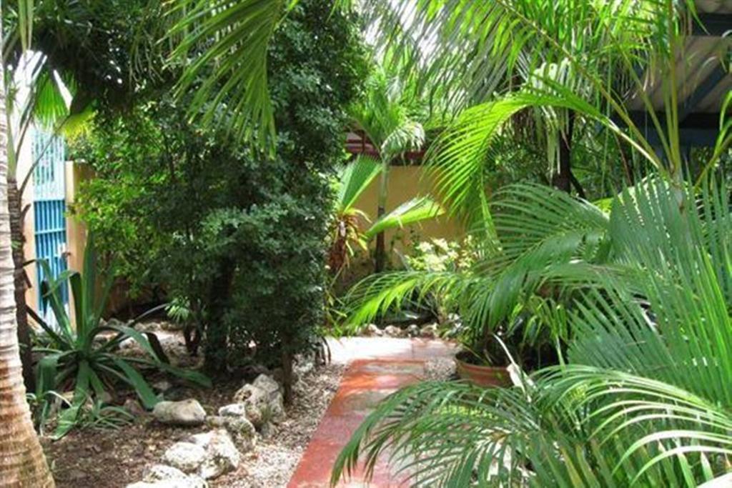 Caribbean Flower Apartments Willemstad Exterior foto